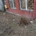 IMG_20190301_140749