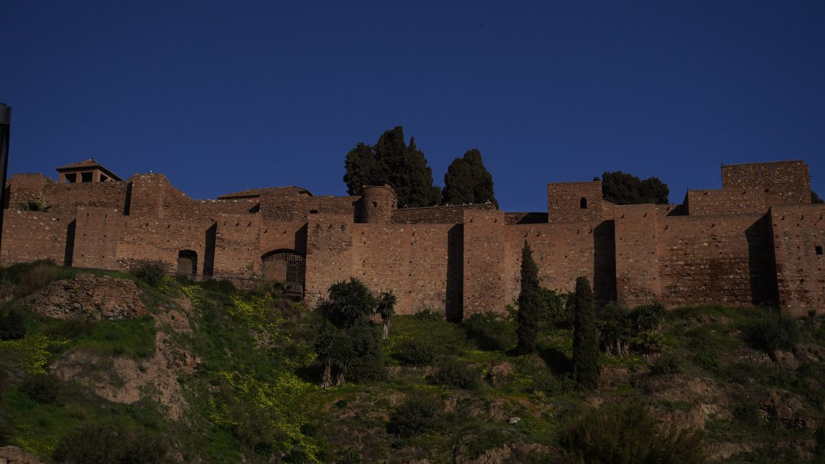 DSC08065